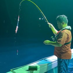 あみや渡船 JIGBOY 釣果