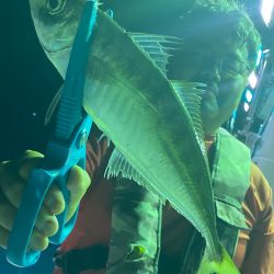 あみや渡船 JIGBOY 釣果