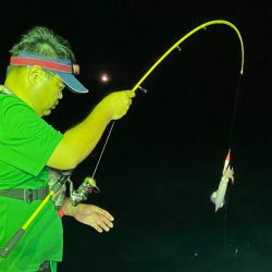 あみや渡船 JIGBOY 釣果