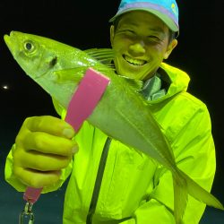 あみや渡船 JIGBOY 釣果