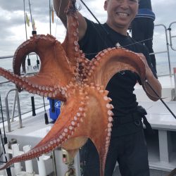 ビッグファイター 釣果