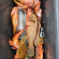 第二八坂丸 釣果