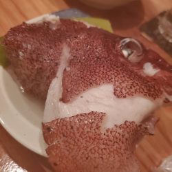 龍神丸（鹿児島） 釣果