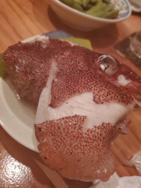 龍神丸（鹿児島） 釣果