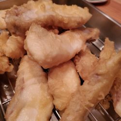 龍神丸（鹿児島） 釣果