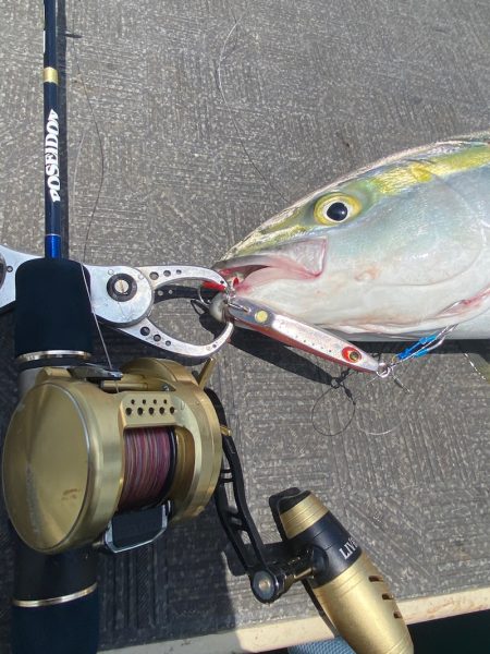 Monster Rush! 釣果