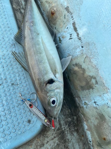 Monster Rush! 釣果