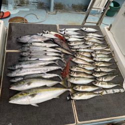 Monster Rush! 釣果