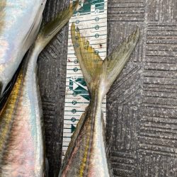 Monster Rush! 釣果