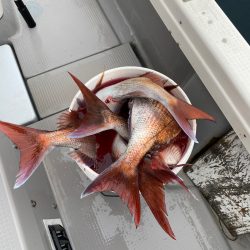 遊漁船ブルーウッズ 釣果