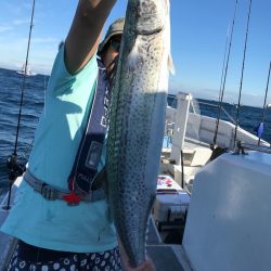 ランスルー 釣果