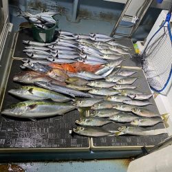 Monster Rush! 釣果