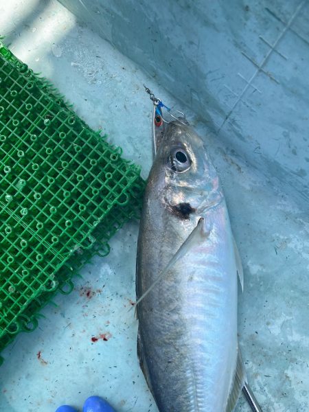 Monster Rush! 釣果