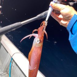 「LaGooN」蒼陽丸 日和号 釣果