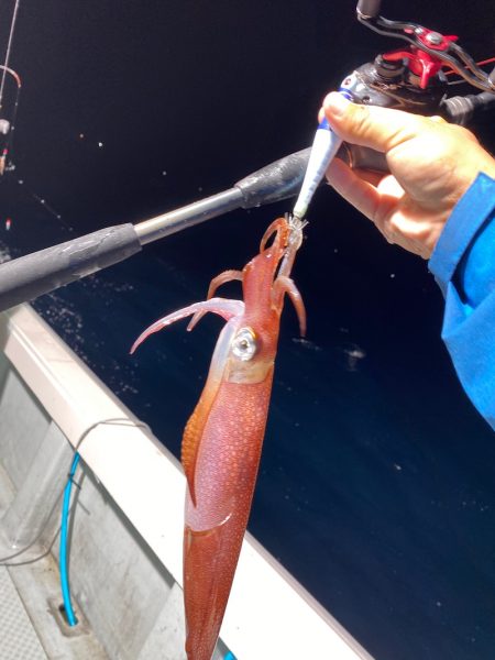 「LaGooN」蒼陽丸 日和号 釣果