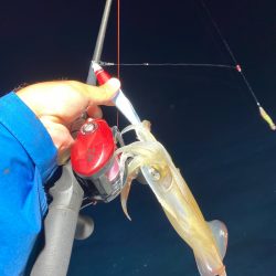 「LaGooN」蒼陽丸 日和号 釣果