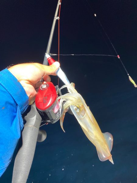 「LaGooN」蒼陽丸 日和号 釣果