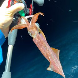 「LaGooN」蒼陽丸 日和号 釣果