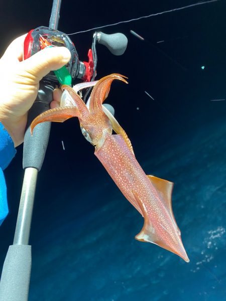 「LaGooN」蒼陽丸 日和号 釣果
