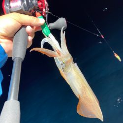 「LaGooN」蒼陽丸 日和号 釣果