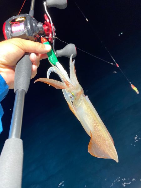 「LaGooN」蒼陽丸 日和号 釣果