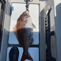 遊漁船ブルーウッズ 釣果