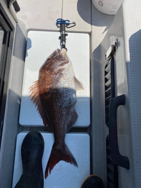 遊漁船ブルーウッズ 釣果