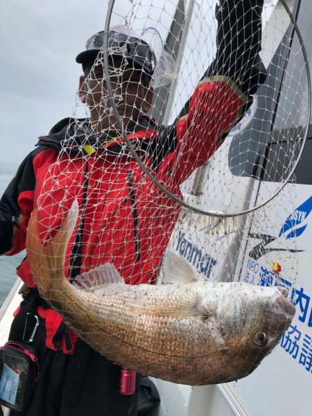 フィッシング キッタカ 釣果