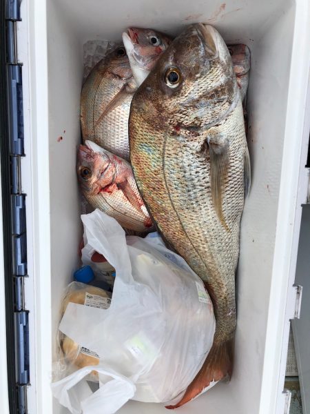 フィッシング キッタカ 釣果