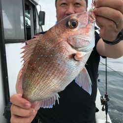 ランスルー 釣果