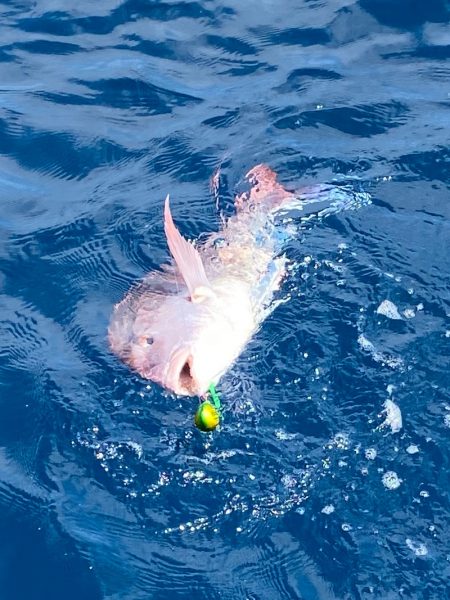 あみや渡船 JIGBOY 釣果