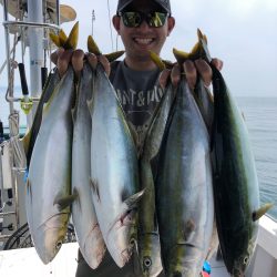 ビッグファイター 釣果