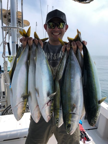 ビッグファイター 釣果