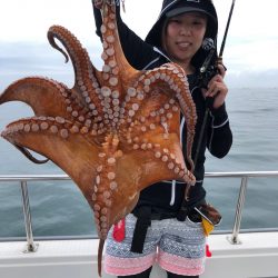 ビッグファイター 釣果