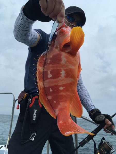 渡船屋たにぐち 釣果