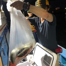 ヤザワ渡船 釣果