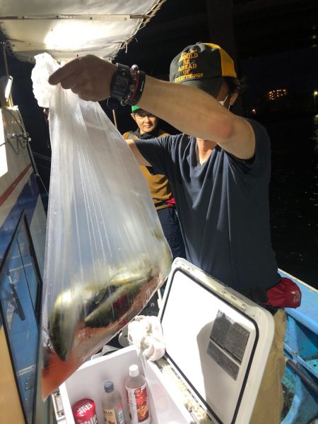 ヤザワ渡船 釣果