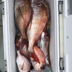 フィッシング キッタカ 釣果