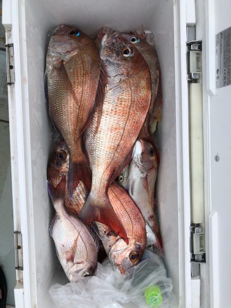 フィッシング キッタカ 釣果