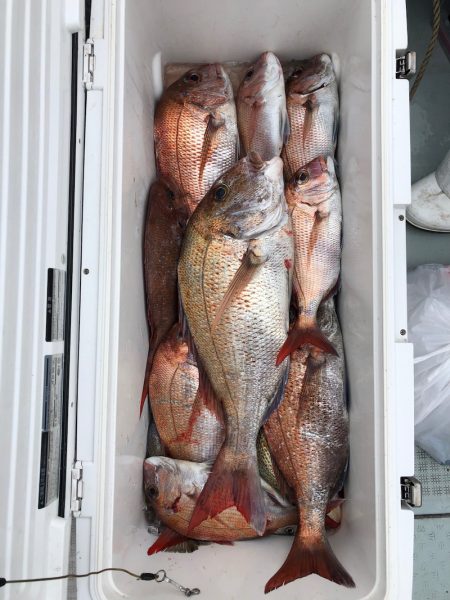 フィッシング キッタカ 釣果