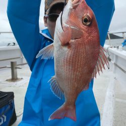 ランスルー 釣果