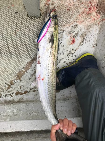 ランスルー 釣果