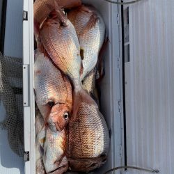 遊漁船ブルーウッズ 釣果