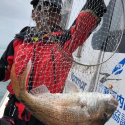 フィッシング　キッタカ 釣果