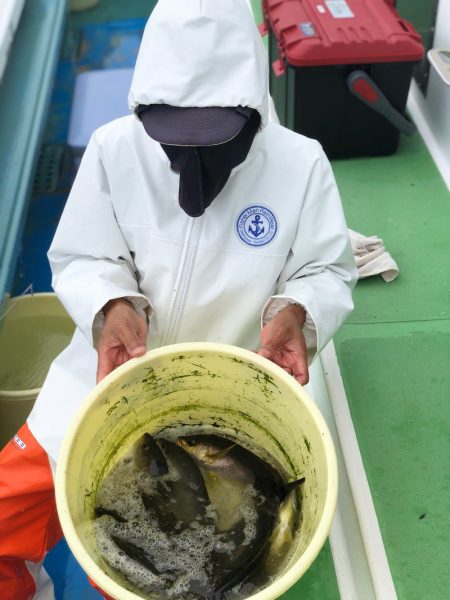 丸万釣船 釣果