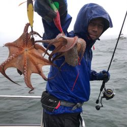 ビッグファイター 釣果