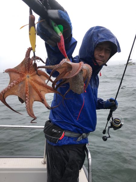 ビッグファイター 釣果