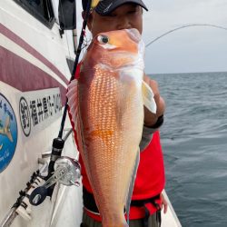 あみや渡船 JIGBOY 釣果