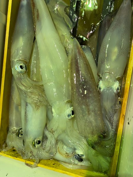 あみや渡船 JIGBOY 釣果