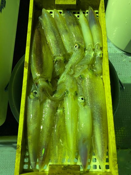 あみや渡船 JIGBOY 釣果